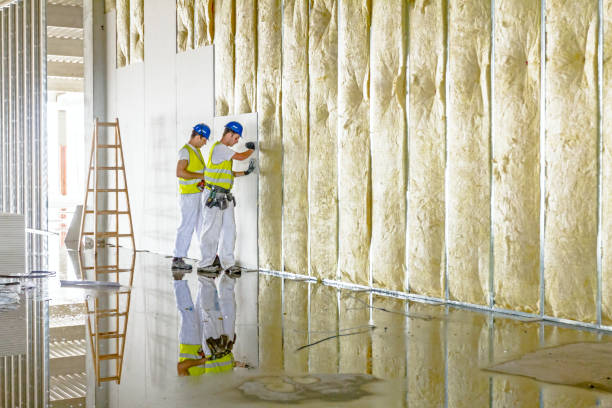 Best Commercial Insulation in Curwensville, PA
